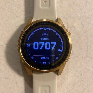 Garmin Fenix Gold Smartwatch